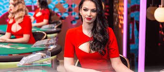zbet login